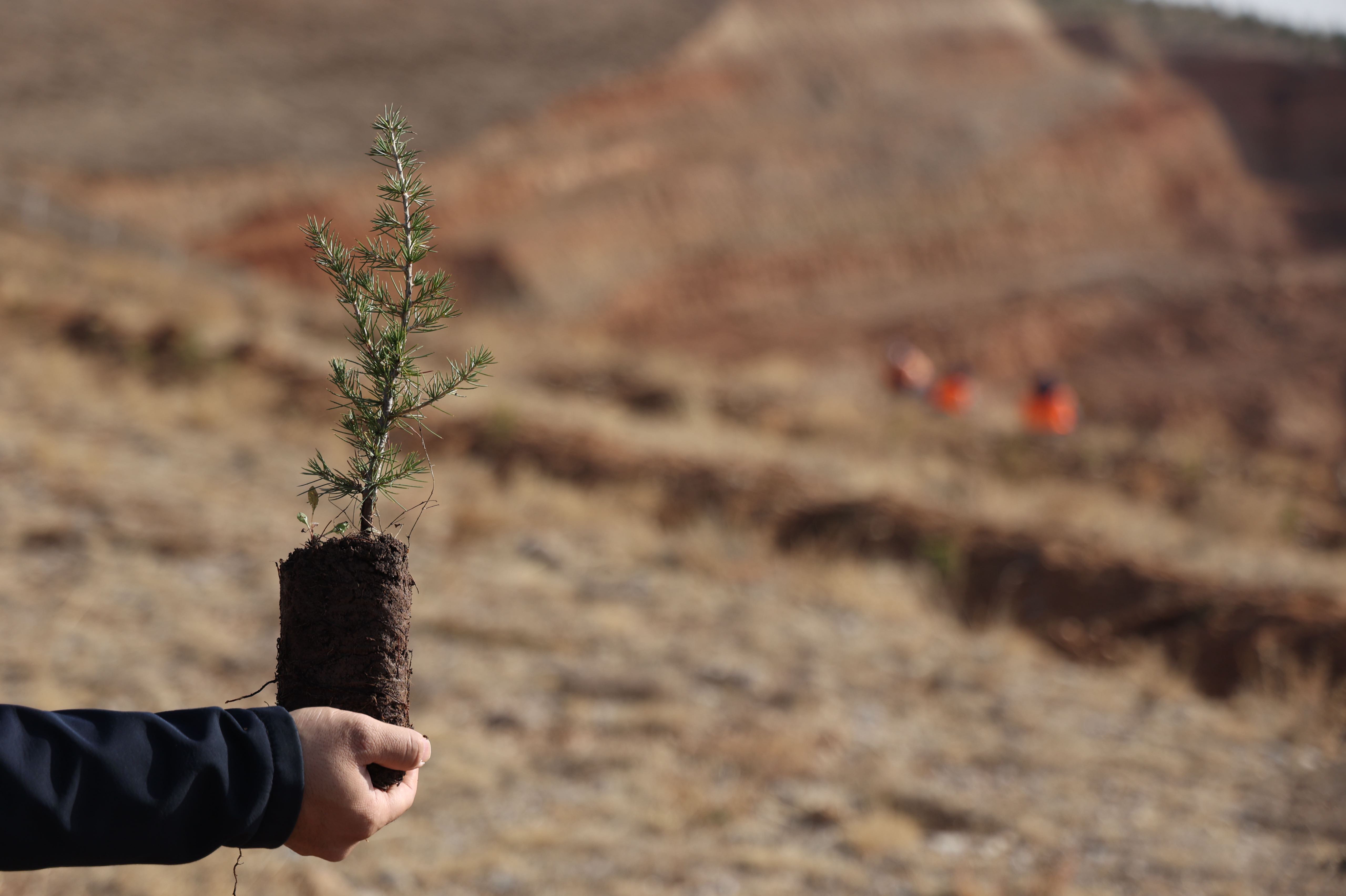 BAŞKAN ALTAY “GELECEĞE NEFES KONYA’YA HAYAT” PROGRAMINDA ÖĞRENCİLERLE FİDAN DİKTİ