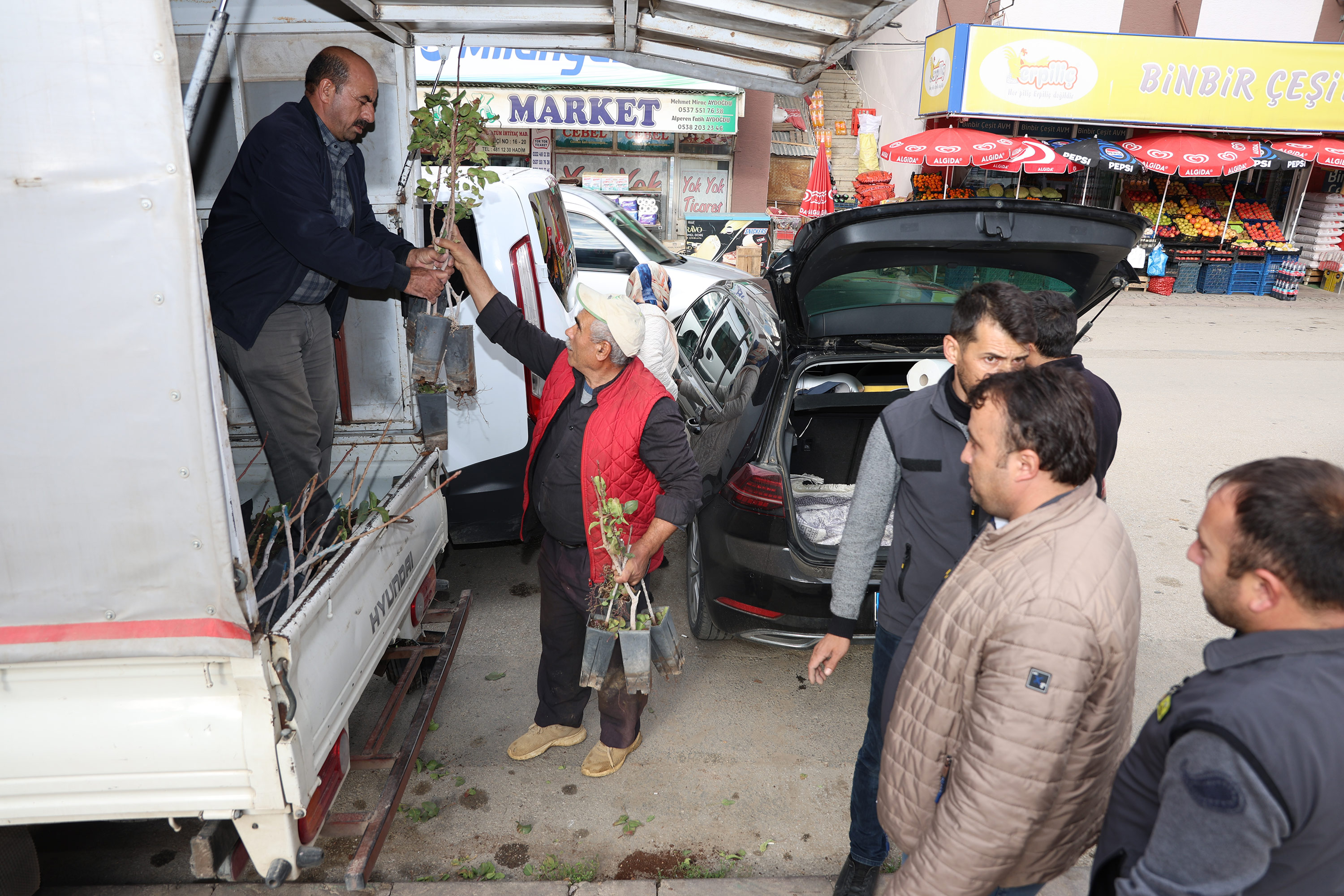 BAŞKAN ALTAY: “MİKRO KLİMA ETKİSİNE SAHİP BÖLGELERİMİZDE KURAKLIĞA DAYANIKLI YAPISIYLA ANTEP FISTIĞINI YAYGINLAŞTIRIYORUZ”