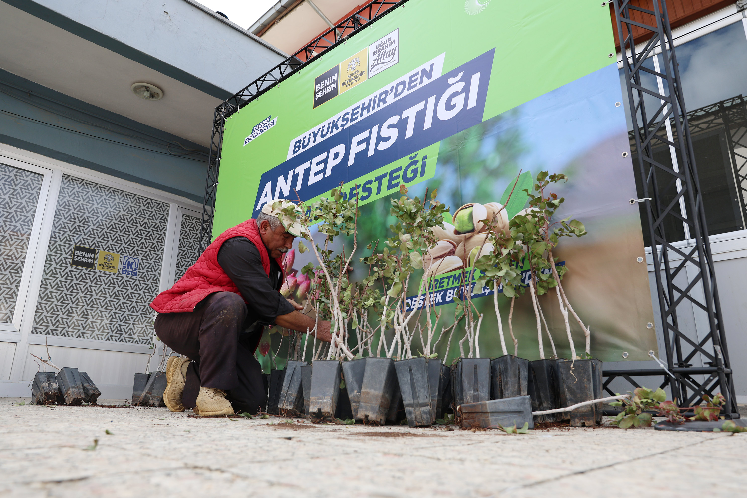 BAŞKAN ALTAY: “MİKRO KLİMA ETKİSİNE SAHİP BÖLGELERİMİZDE KURAKLIĞA DAYANIKLI YAPISIYLA ANTEP FISTIĞINI YAYGINLAŞTIRIYORUZ”