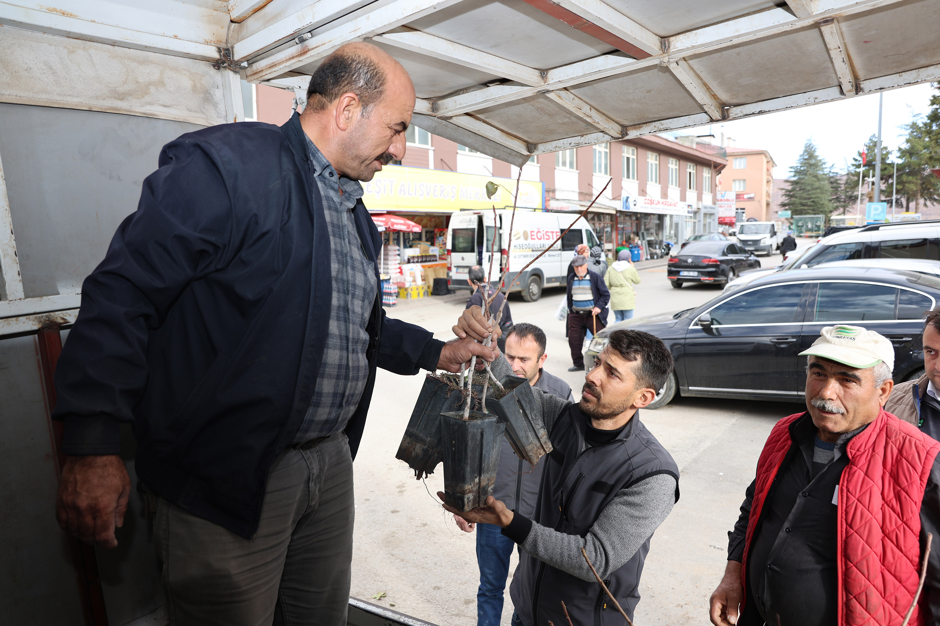 BAŞKAN ALTAY: “MİKRO KLİMA ETKİSİNE SAHİP BÖLGELERİMİZDE KURAKLIĞA DAYANIKLI YAPISIYLA ANTEP FISTIĞINI YAYGINLAŞTIRIYORUZ”