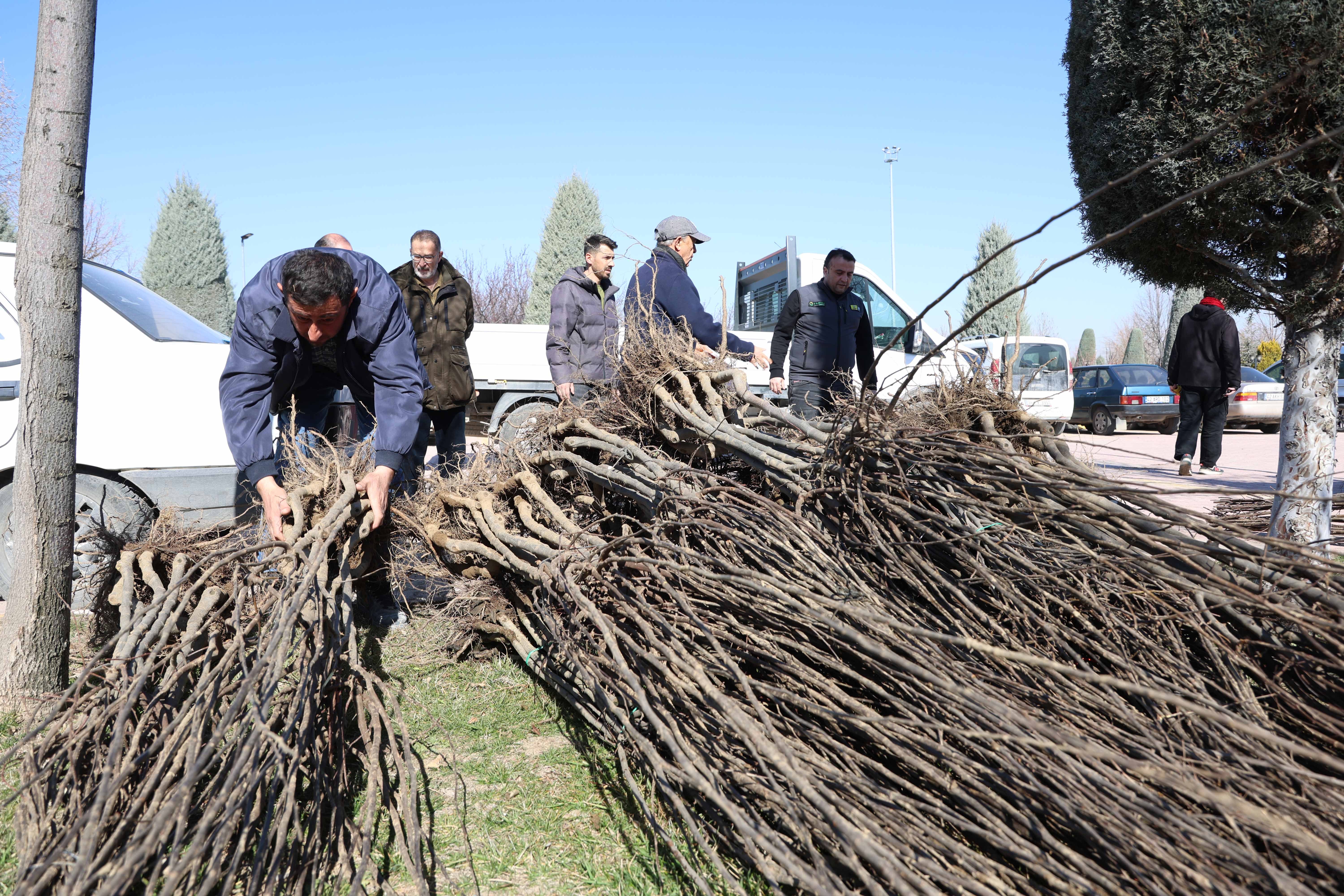 BAŞKAN ALTAY “23 BİN 500 ADET FİDANI ÇİFTÇİMİZE ULAŞTIRACAĞIZ”