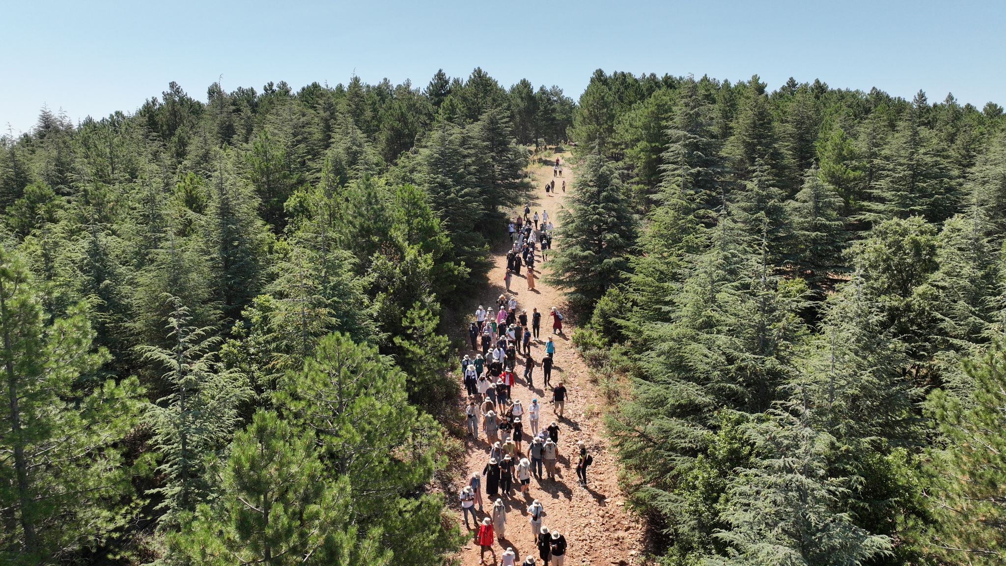 “KONYA’DA YÜRÜYORUZ” ETKİNLİKLERİ NİSAN AYINDA YENİDEN BAŞLIYOR