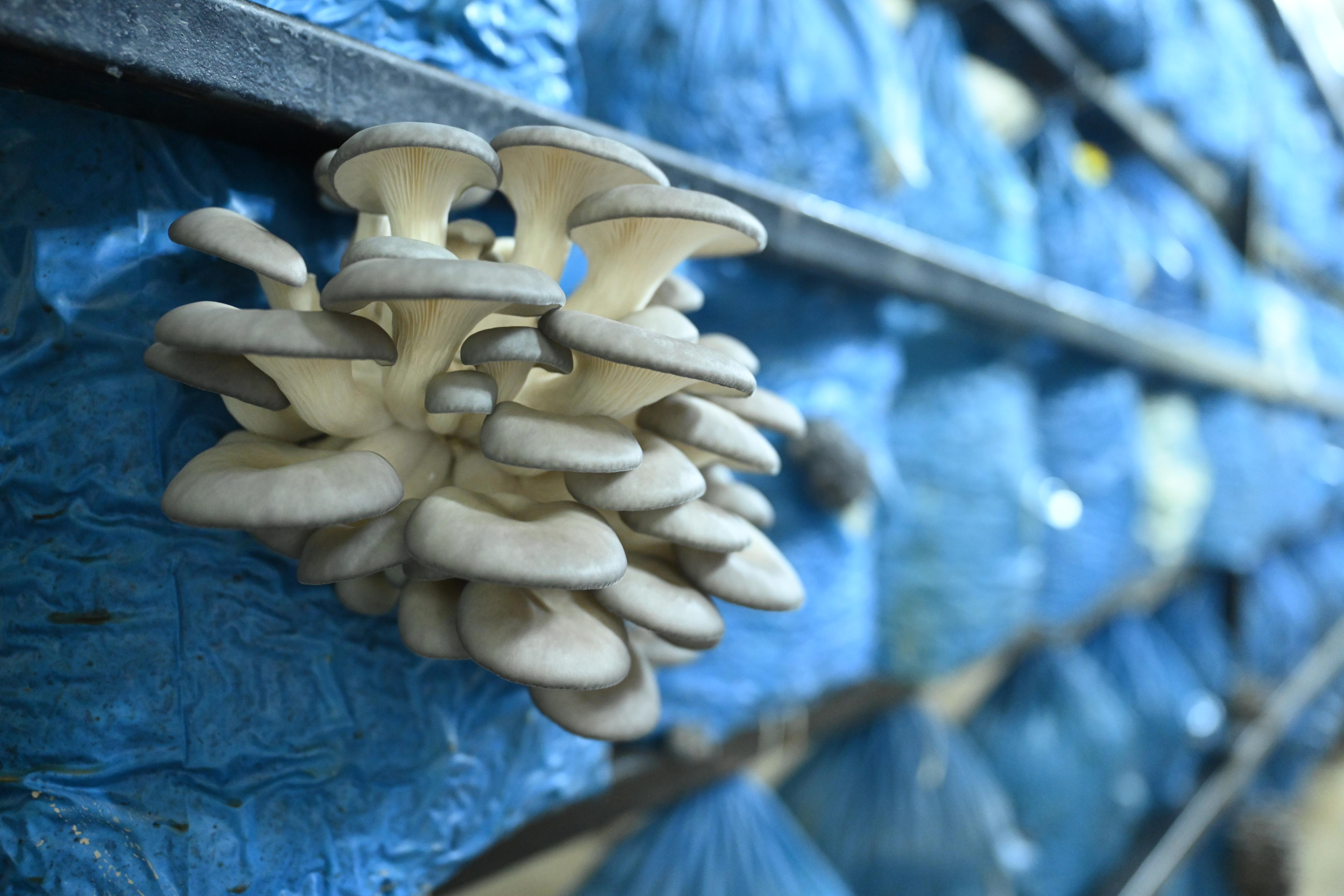 MİLLETVEKİLİ BAYKAN VE BAŞKAN ALTAY LİSE ÖĞRENCİLERİYLE BULUŞTU