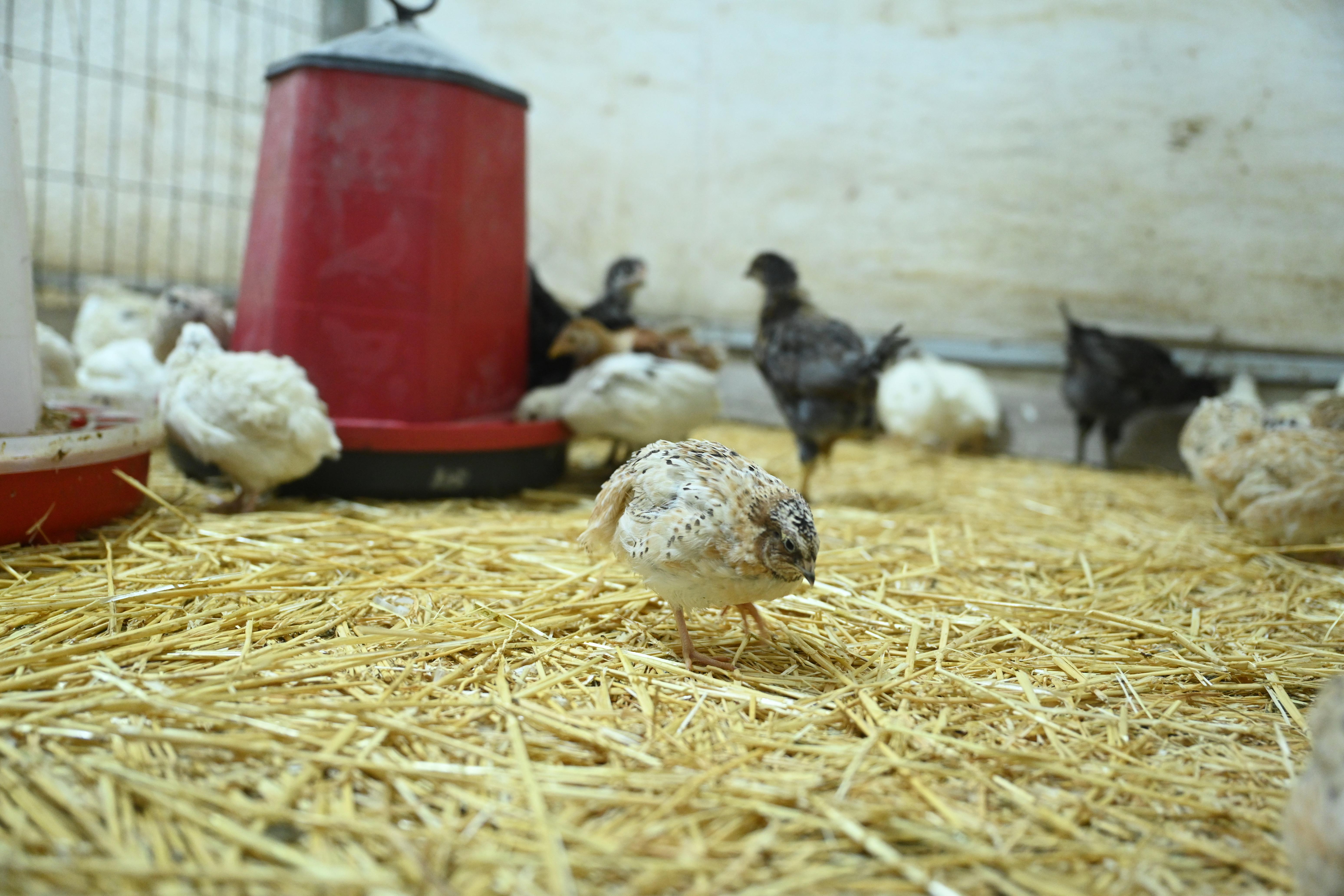 MİLLETVEKİLİ BAYKAN VE BAŞKAN ALTAY LİSE ÖĞRENCİLERİYLE BULUŞTU