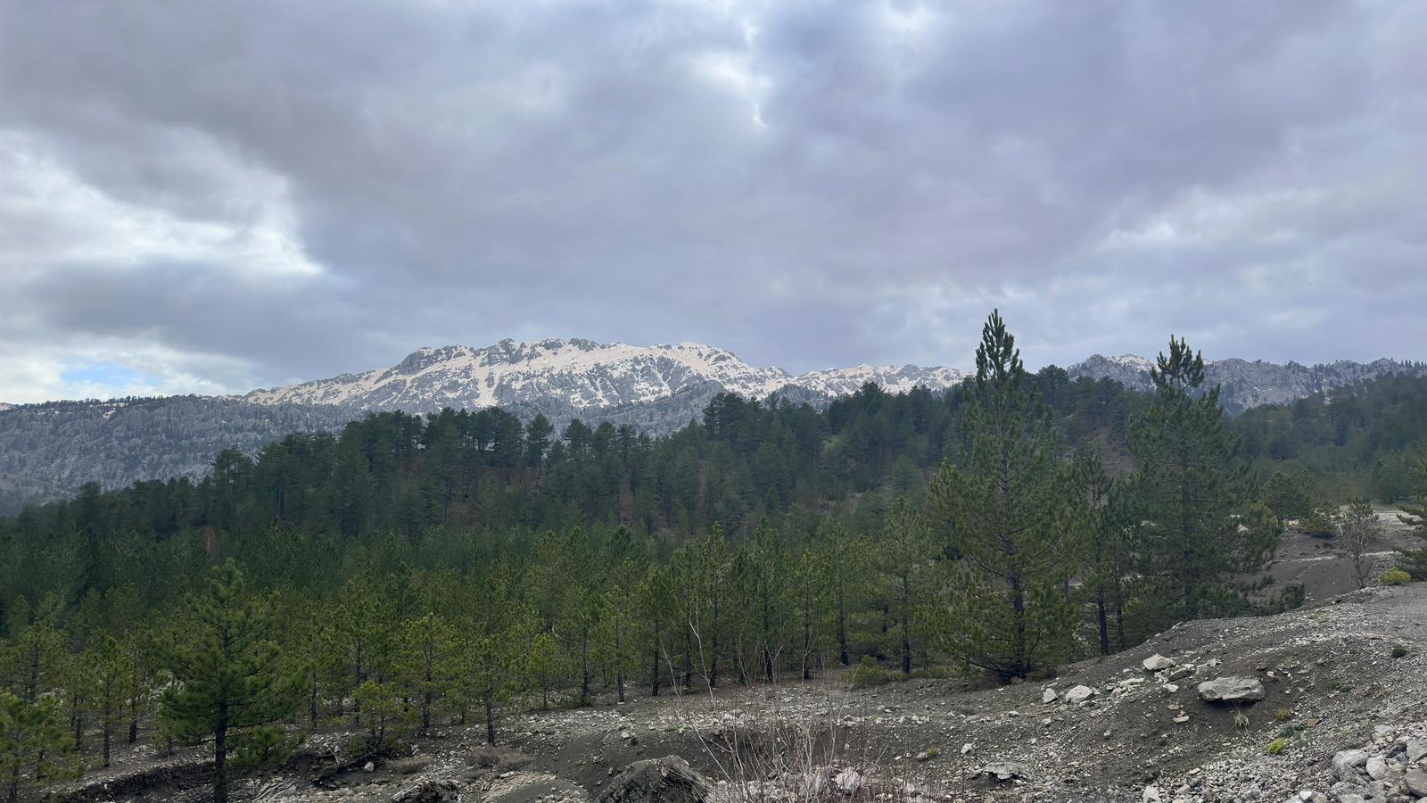 BAŞKAN ALTAY YAYLALARDA VE BARAJLARDA İNCELEMELER YAPTI