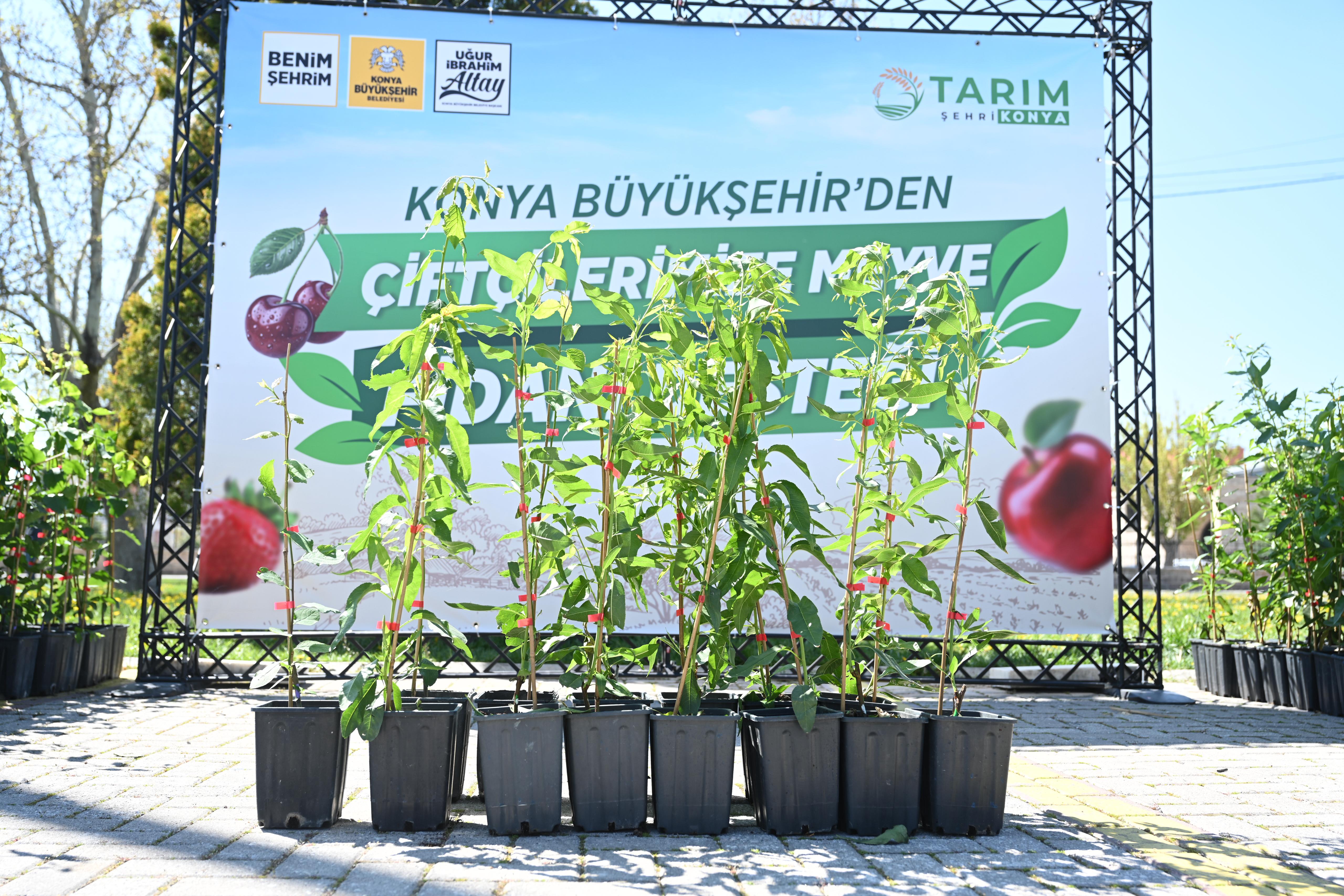 BAŞKAN ALTAY: “BU YIL ÇİFTÇİMİZE 31.420 MEYVE FİDANI DESTEĞİNDE BULUNDUK”