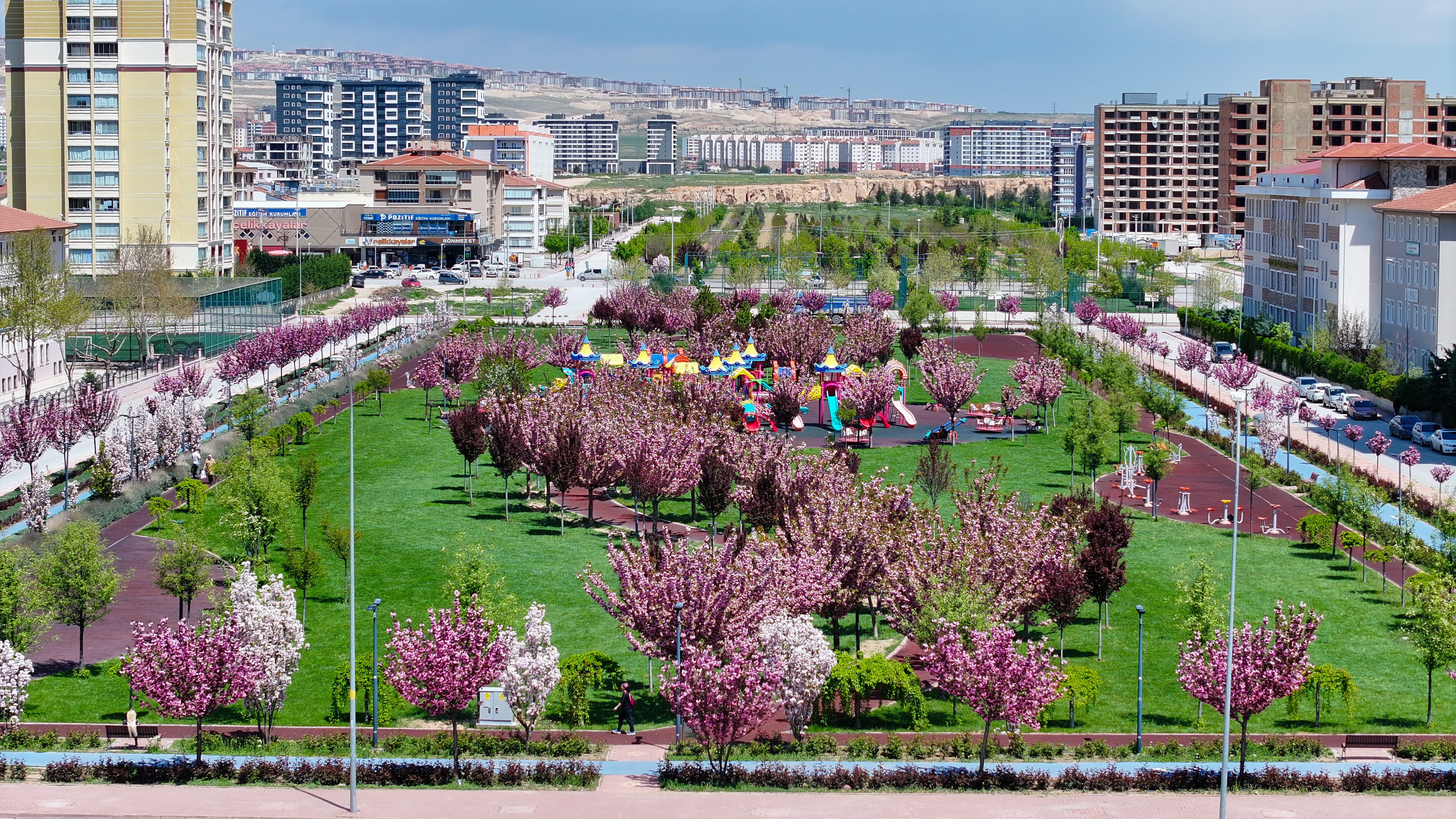 SAKURALAR İÇİN JAPONYA’YA GİTMENİZE GEREK YOK; KONYA’DA SAKURA MEVSİMİ BAŞLADI