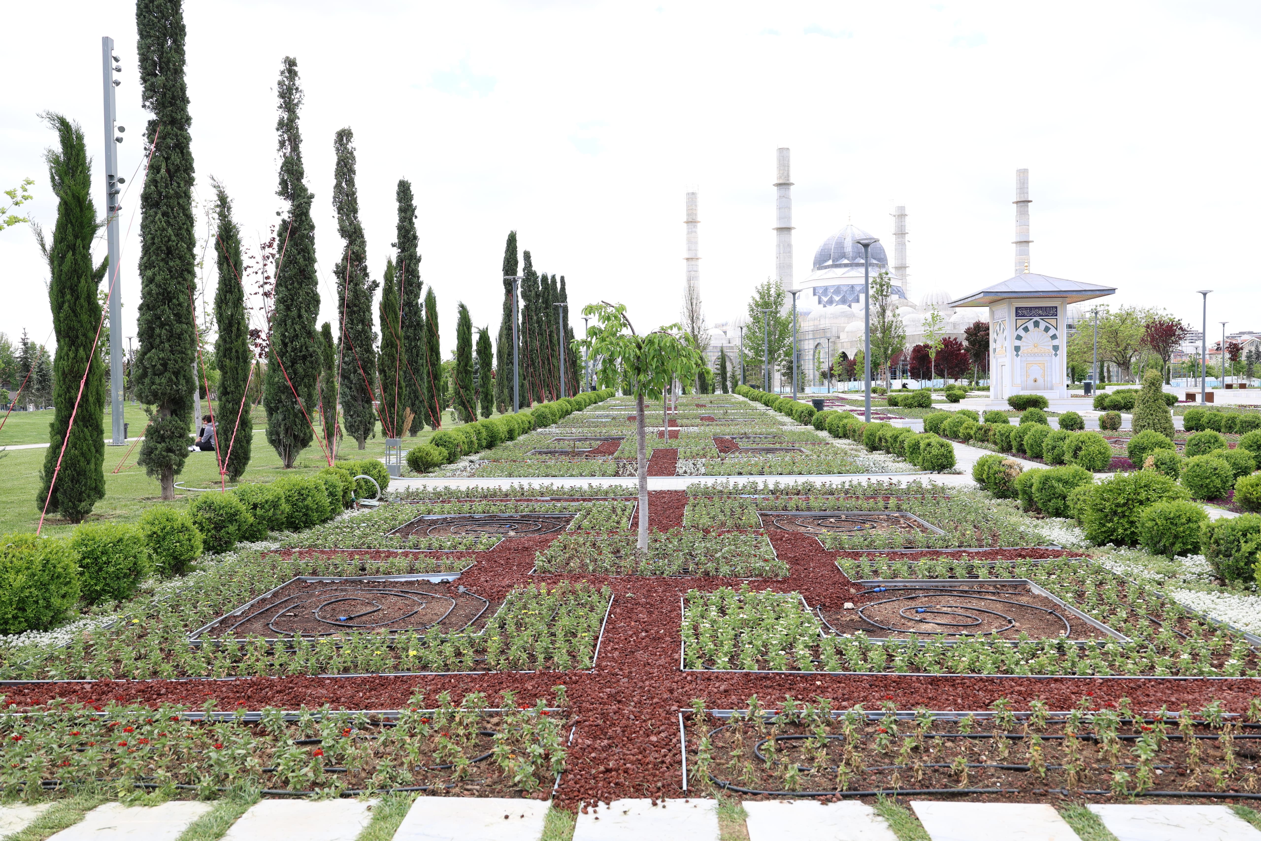 BAŞKAN ALTAY: “1 MİLYON 800 BİN ÇİÇEĞİ TOPRAKLA BULUŞTURUYOR, KONYA’MIZIN GÖRSEL ZENGİNLİĞİNİ ARTIRIYORUZ”