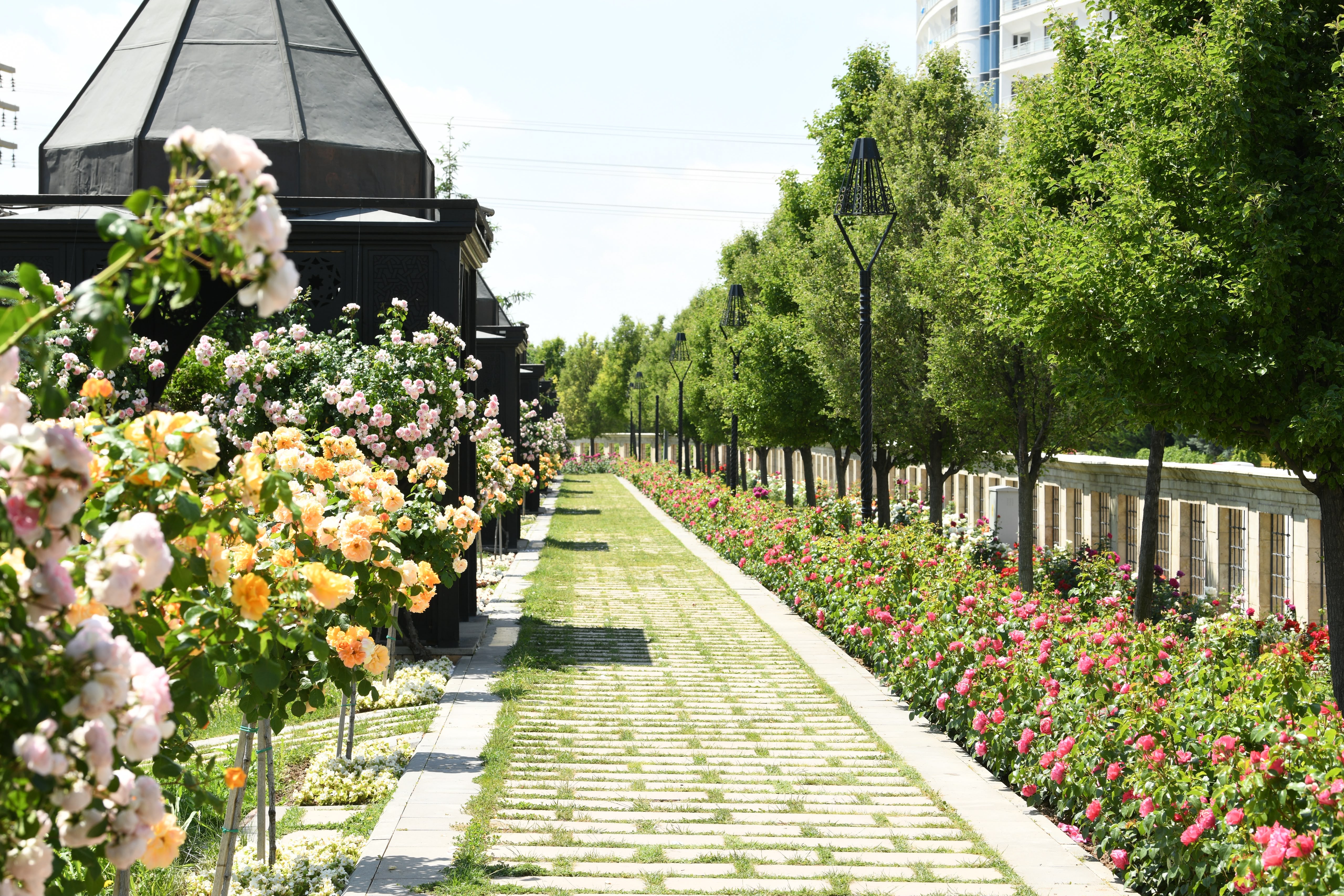 KONYA BÜYÜKŞEHİR’İN ÇİÇEKLERLE BEZEDİĞİ CADDE VE PARKLAR GÖZ KAMAŞTIRIYOR
