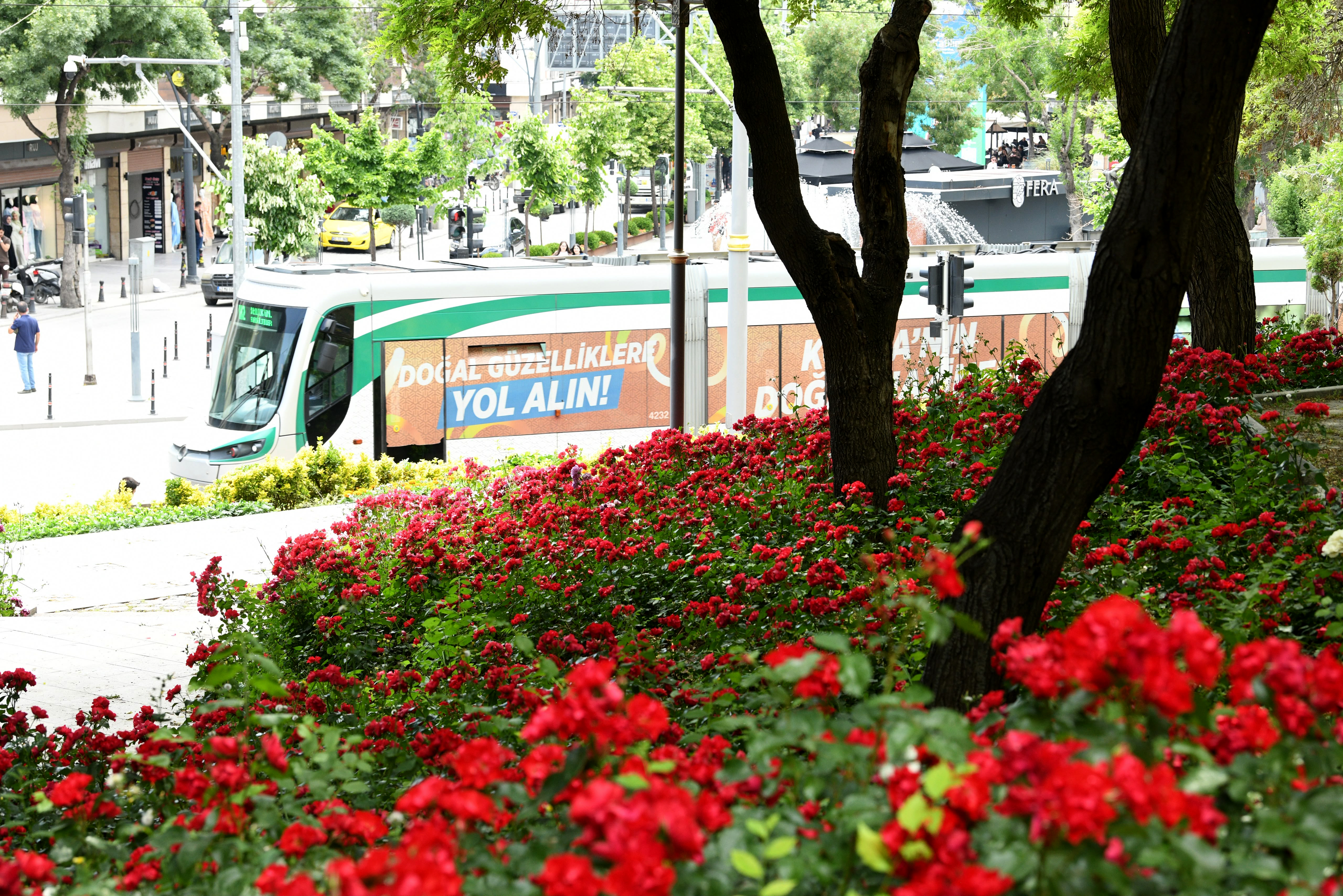 KONYA BÜYÜKŞEHİR’İN ÇİÇEKLERLE BEZEDİĞİ CADDE VE PARKLAR GÖZ KAMAŞTIRIYOR