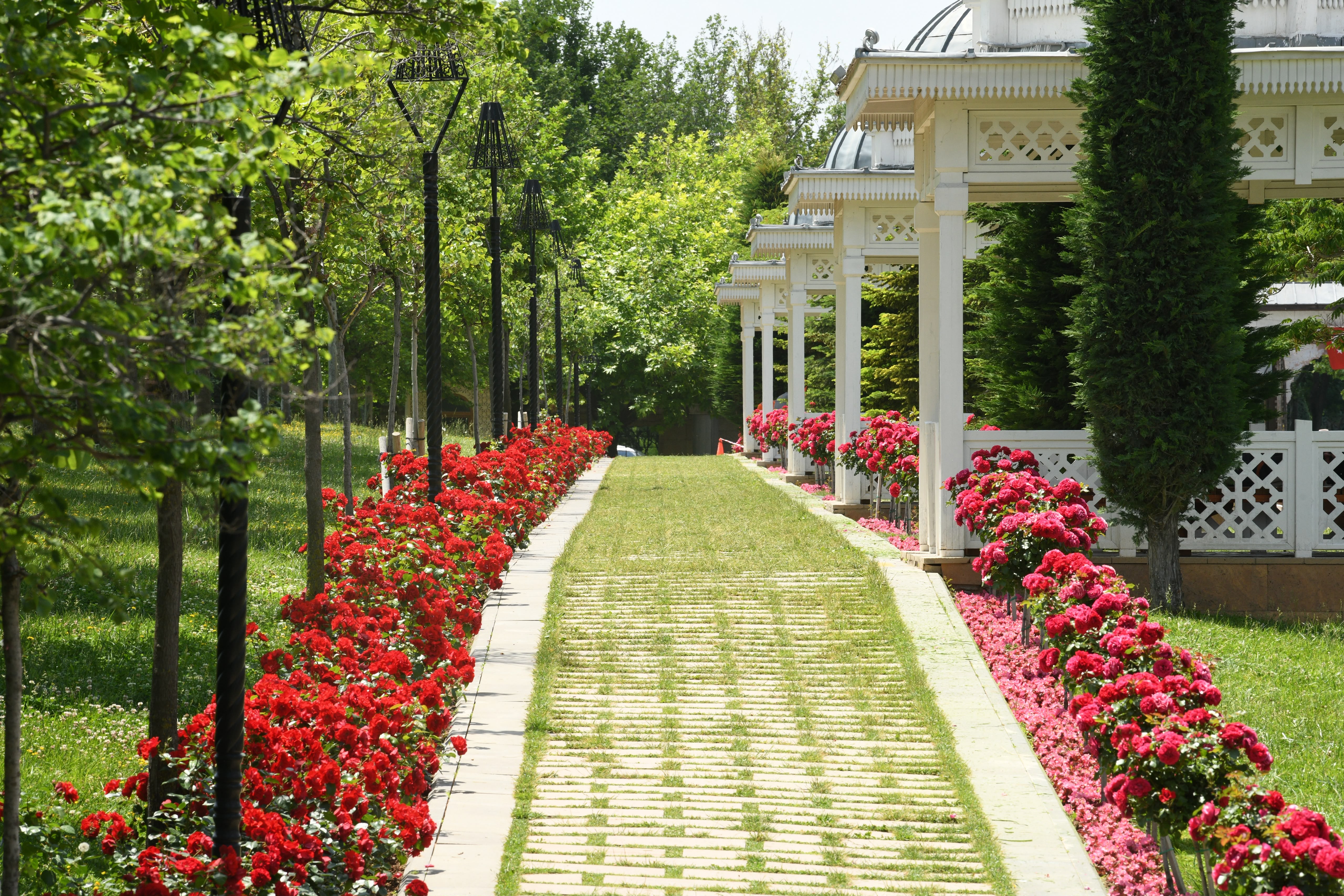 KONYA BÜYÜKŞEHİR’İN ÇİÇEKLERLE BEZEDİĞİ CADDE VE PARKLAR GÖZ KAMAŞTIRIYOR