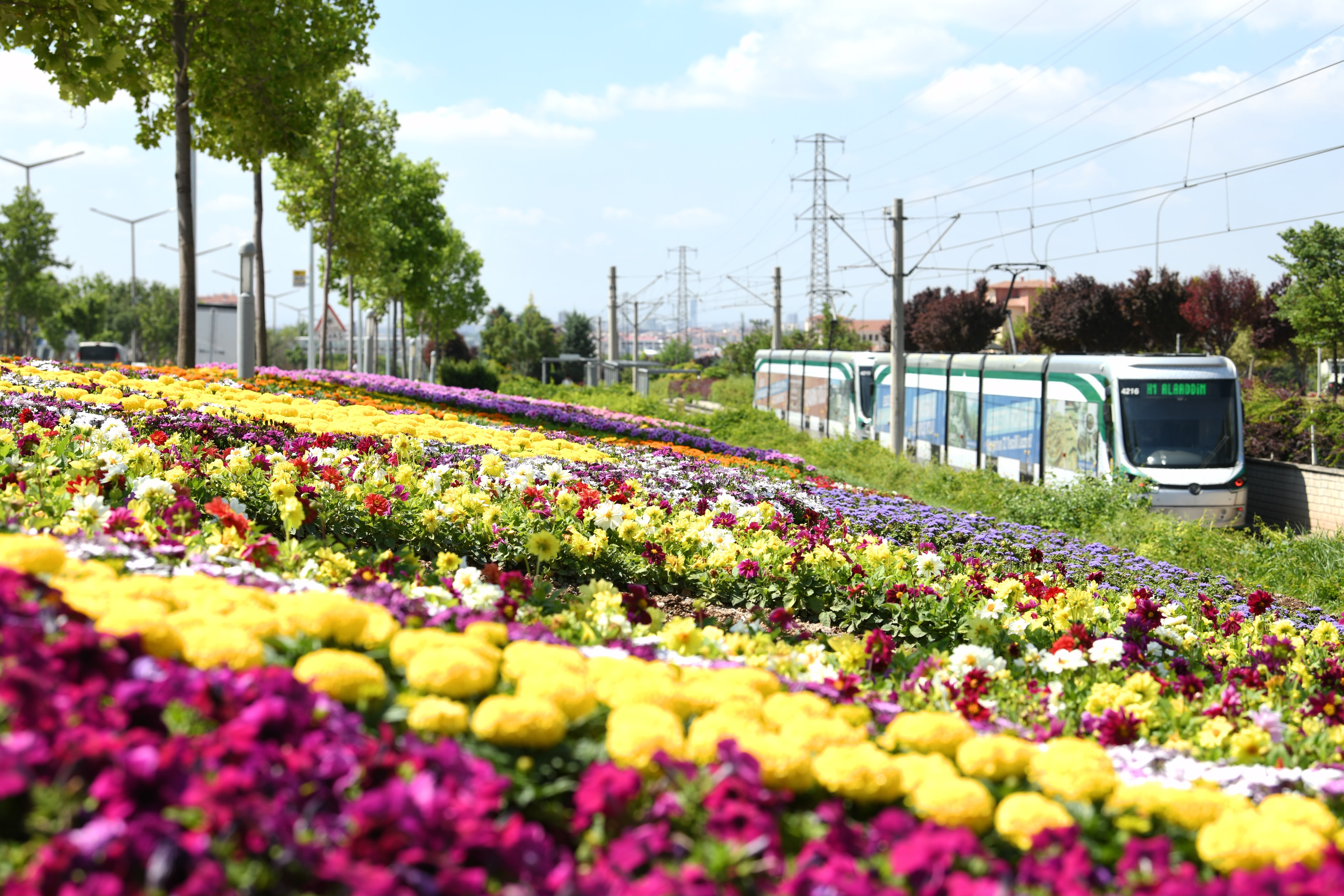 KONYA BÜYÜKŞEHİR’İN ÇİÇEKLERLE BEZEDİĞİ CADDE VE PARKLAR GÖZ KAMAŞTIRIYOR
