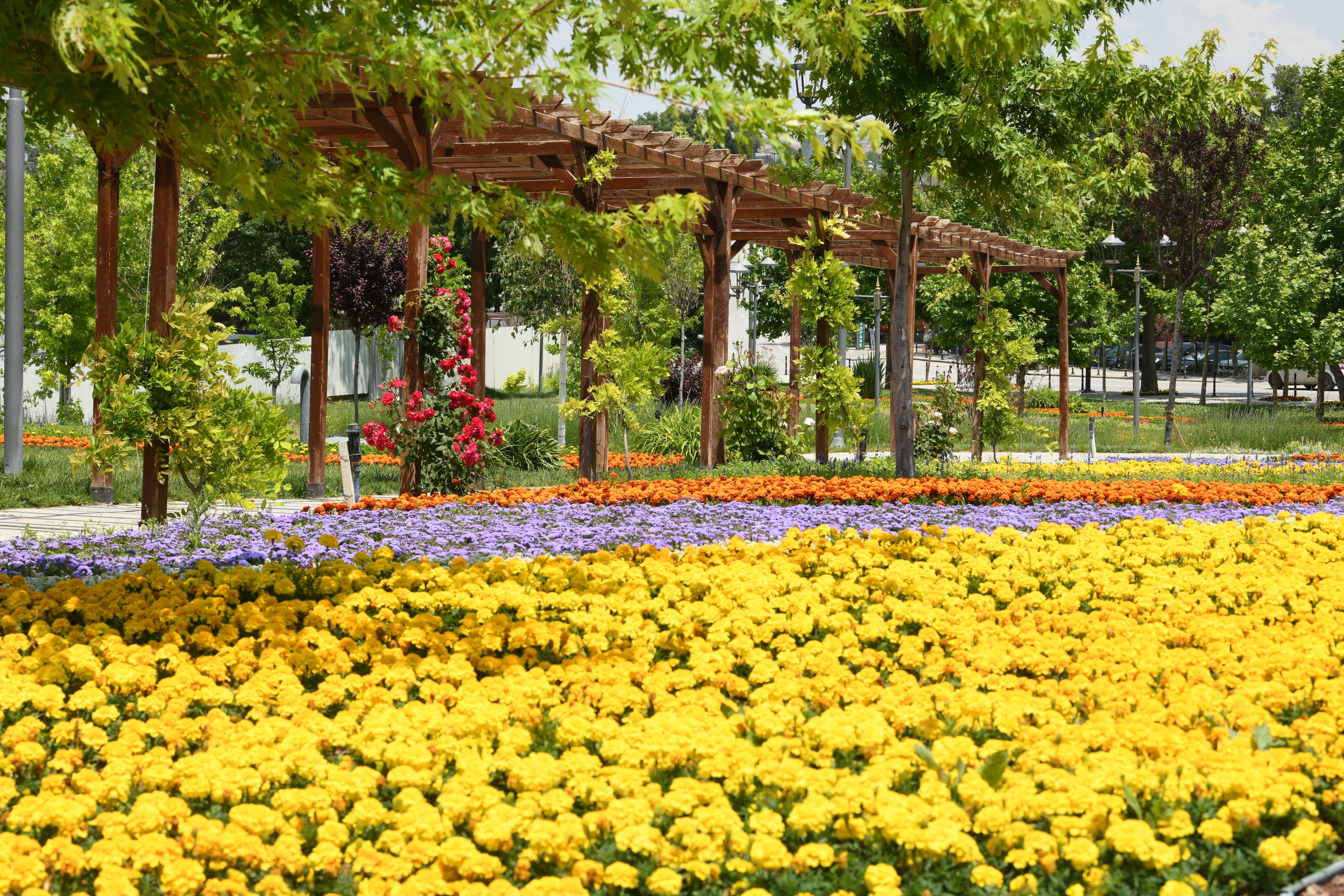 KONYA BÜYÜKŞEHİR’İN ÇİÇEKLERLE BEZEDİĞİ CADDE VE PARKLAR GÖZ KAMAŞTIRIYOR