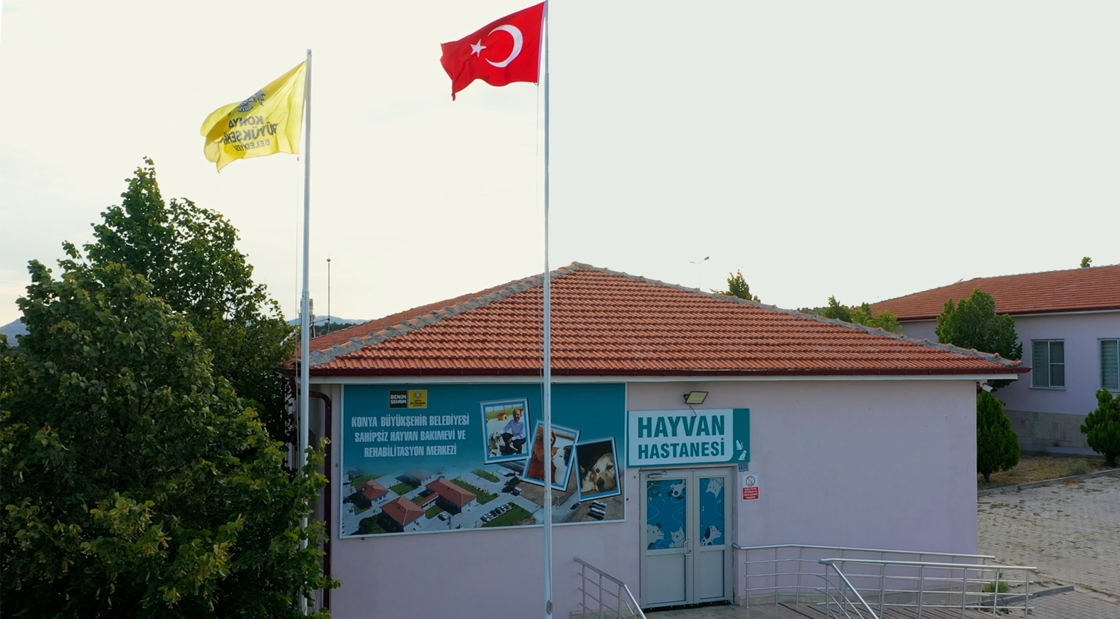 HAYVAN HASTANESİ