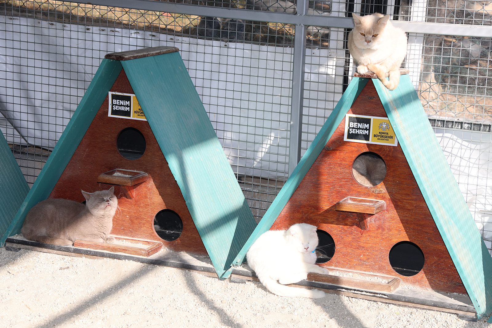 SAHİPSİZ HAYVAN BAKIM EVİ VE REHABİLİTASYON MERKEZİ