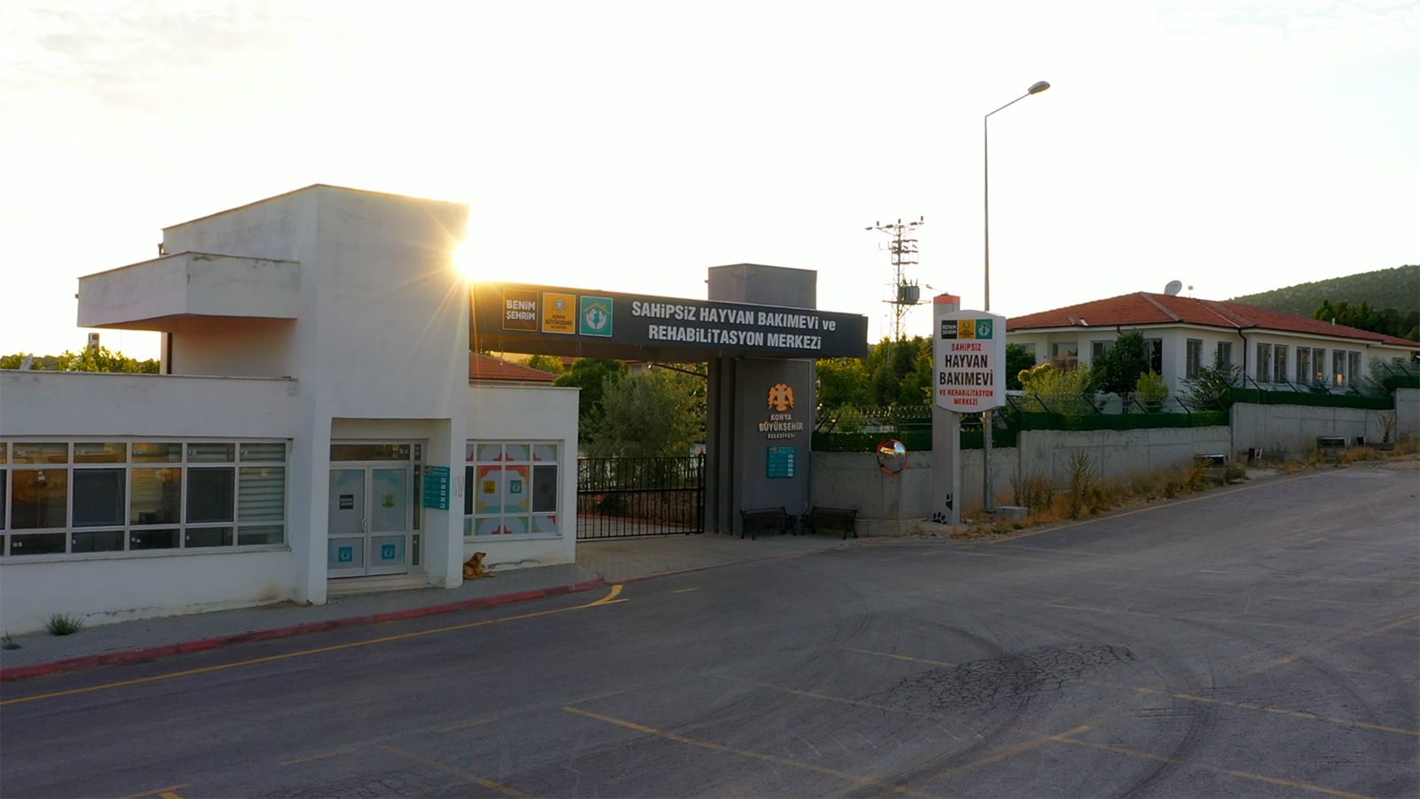 SAHİPSİZ HAYVAN BAKIM EVİ VE REHABİLİTASYON MERKEZİ