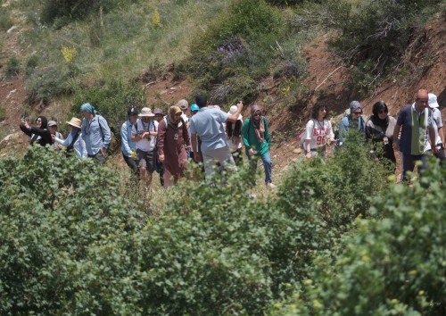 Taşkent Balcılar Doğa yürüyüşü (2025)
