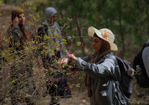 Konya’nın saklı güzelliklerinde  sonbahar yürüyüşleri gerçekleşti
